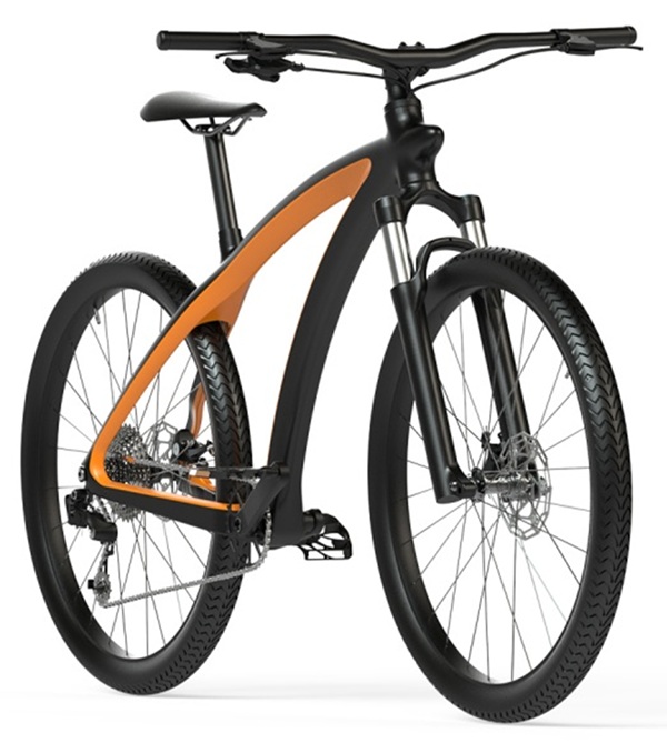 E-Bike (Electric Bike)