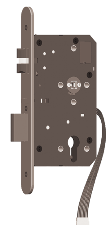 EN Electrified Mortise Lock (Motor)