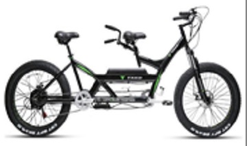 Electric Special Bike