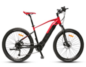 Electric Mountain Bike