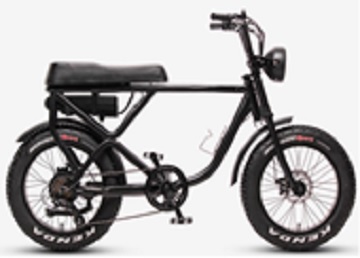 Electric Special Bike