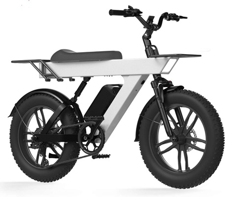 E-Bike (Electric Bike)