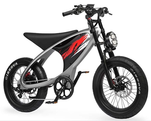 E-Bike (Electric Bike)