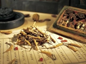 Hirsutella Sinensis Supplement Capsules Hirsutella Sinensis Supplement Capsules