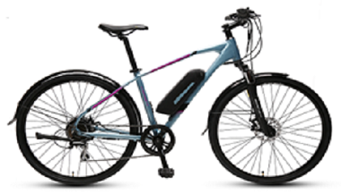 E-Bike (Electric Mountain Bike)